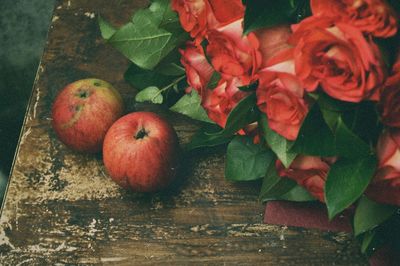 Close-up of fruits on plant