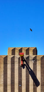 Low angle view of bird flying against clear blue sky