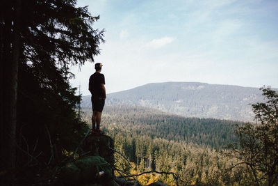 Rear view of man standing in forest against sky