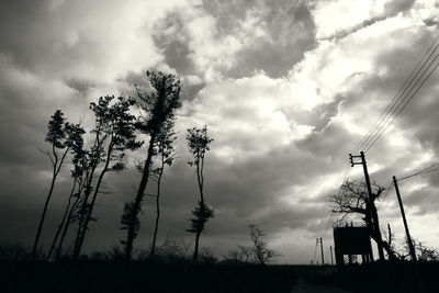 Low angle view of trees against cloudy sky