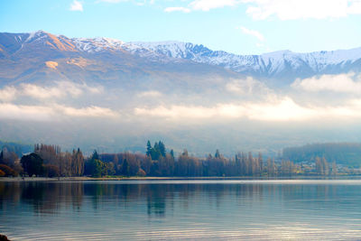 Scenic view of lake by trees against sky