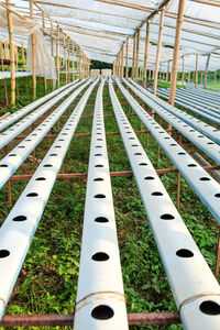 High angle view of greenhouse