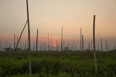 Scenic view of grassy field against sky during sunset