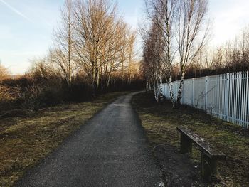 Road amidst bare trees against sky