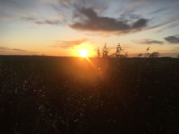 Scenic view of field against sky during sunset