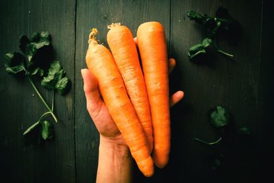 Close-up of hand holding orange leaf