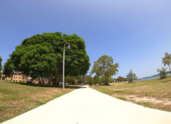 Footpath amidst trees against clear sky