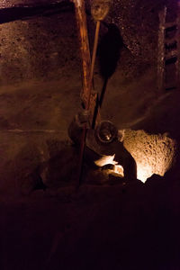 Close-up of an animal on rock at night