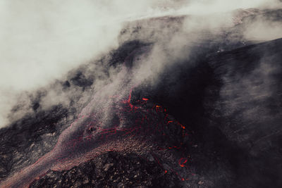 Aerial view of forest