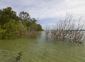 Scenic view of lake against sky