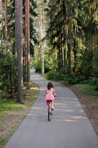 Rear view of man riding bicycle on road amidst trees in forest