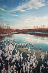 Scenic view of lake against sky during sunset