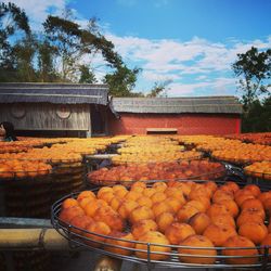 Various fruits for sale at market stall