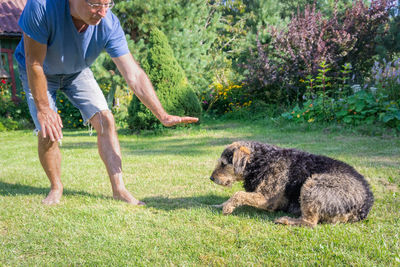 Rear view of man with dog on grass