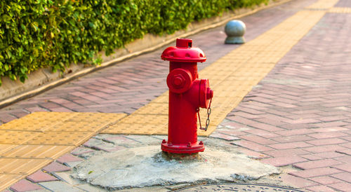 Old red fire hydrant with street background