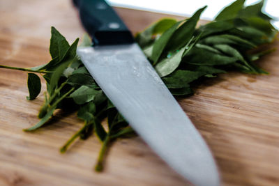 High angle view of vegetables on cutting board