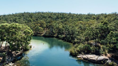 Scenic view of river in forest against clear sky