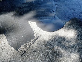 Reflection of trees in puddle