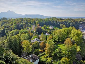 High angle view of plants and trees by houses against sky