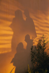 Shadow of man on tree against sky during sunset