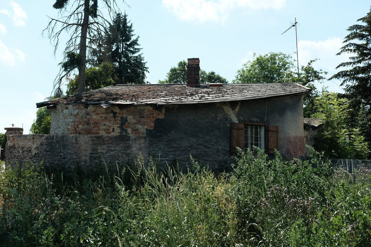 OLD BUILDING BY TREES AGAINST SKY