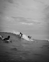 Surfers riding waves