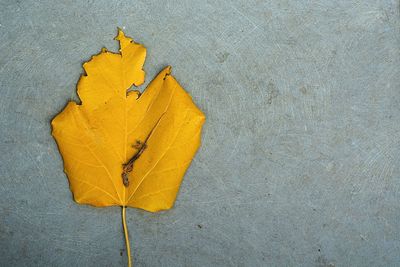 High angle view of yellow paper