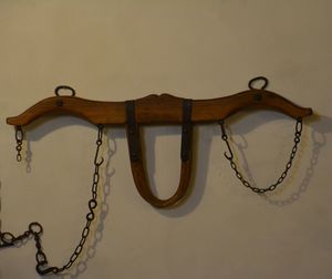 Close-up of ropes
