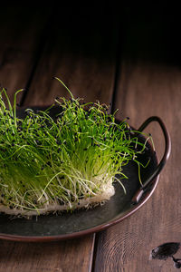 Fresh microgreens on a wooden table, healthy lifestyle concept, close up