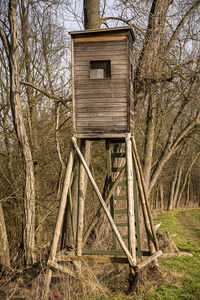 View of hut in forest