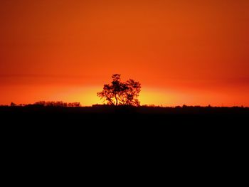 Silhouette trees on field against orange sky