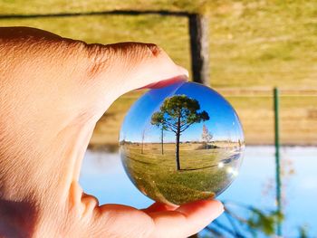 Close-up of hand holding crystal ball with reflection against trees