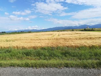 Scenic view of field against sky