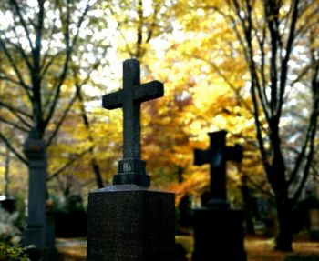 Close-up of cross against temple