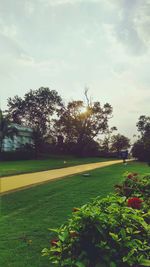 Scenic view of grassy field against sky