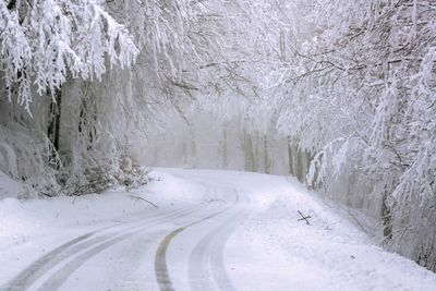 Snow covered road amidst trees during winter