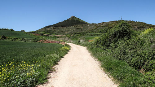 Road amidst green landscape against clear sky