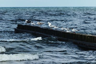 Scenic view of sea