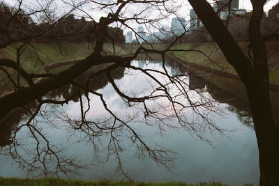 Low angle view of bare tree