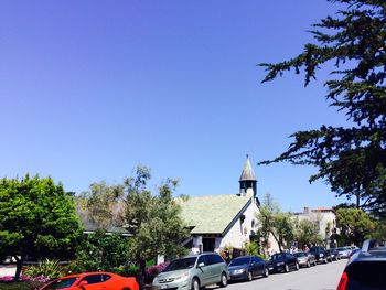 Trees against clear blue sky