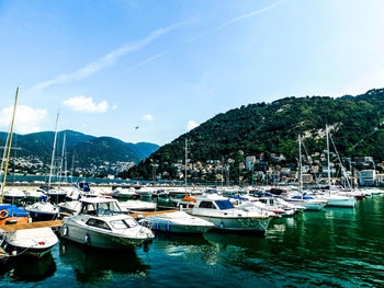 Boats moored in harbor