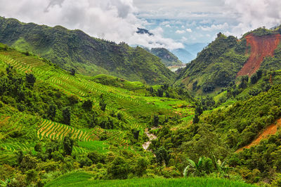 Scenic view of agricultural landscape against sky