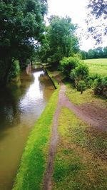 View of canal along trees