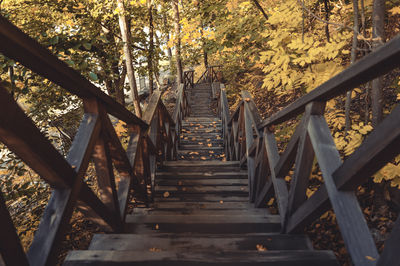 Footbridge amidst trees in forest during autumn