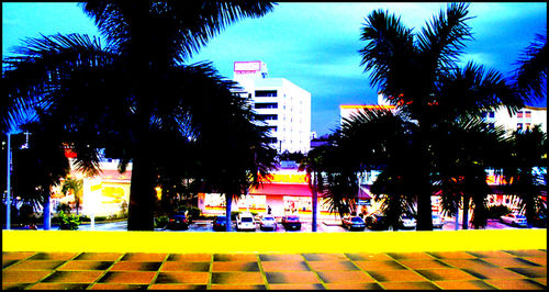 Palm trees and buildings against blue sky