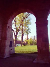 Trees seen through archway