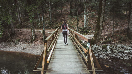 Rear view of man walking on footbridge in forest