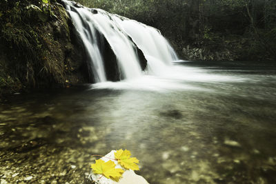 Scenic view of waterfall in forest
