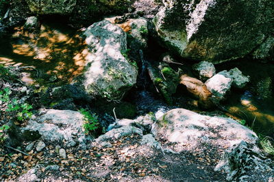 High angle view of stream amidst rocks in forest