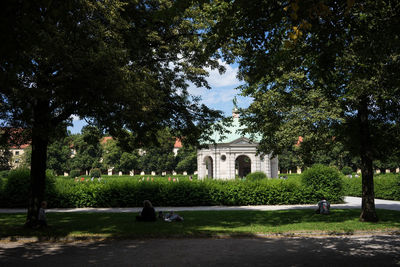 Trees in park